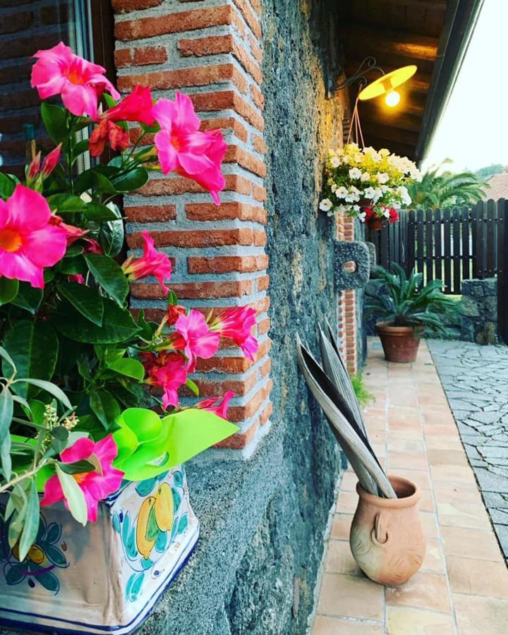 Il Tiglio Apartment Viagrande Exterior foto